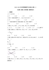 2020-2021学年6.3 余角 补角 对顶角优秀练习