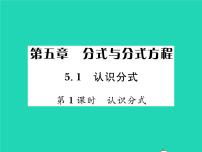 北师大版八年级下册1 认识分式习题ppt课件