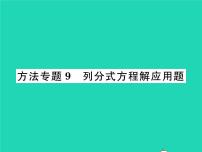 初中数学北师大版八年级下册4 分式方程习题ppt课件