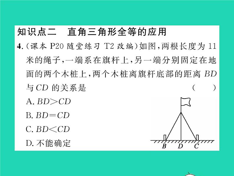 2022八年级数学下册第一章三角形的证明1.2直角三角形第2课时直角三角形全等的判定习题课件新版北师大版05