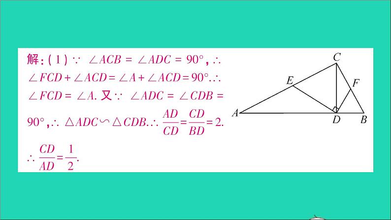 数学人教版九年级下册同步教学课件第27章相似专题训练十直角三角形相似的基本模型作业05