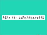 数学人教版九年级下册同步教学课件第28章锐角三角函数专题训练十七求锐角三角函数值的基本模型作业