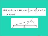 数学人教版九年级下册同步教学课件第28章锐角三角函数专题训练十七求锐角三角函数值的基本模型作业