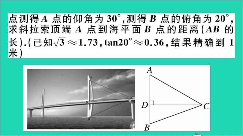 数学沪科版九年级上册同步教学课件微专题解直角三角形的实际应用中考热点作业第3页