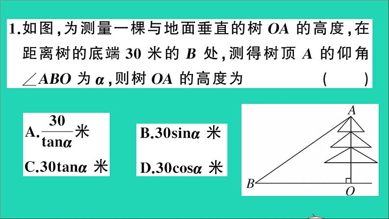 数学沪科版九年级上册同步教学课件第23章解直角三角形23.2解直角三角形及其应用第3课时仰角与俯角问题作业03