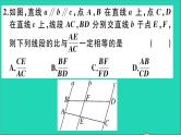 数学沪科版九年级上册同步教学课件期末复习1作业