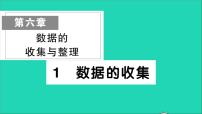 初中数学北师大版七年级上册6.1 数据的收集教学ppt课件