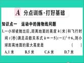数学华东师大版九年级下册同步教学课件第26章二次函数26.3实践与探索第1课时实物型抛物线作业