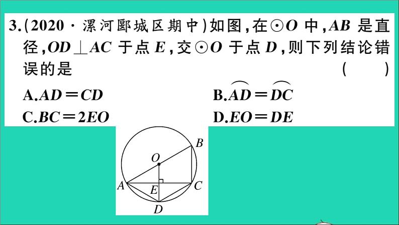 数学华东师大版九年级下册同步教学课件第27章圆综合滚动练习圆的有关概念及性质作业04