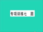 数学华东师大版九年级下册同步教学课件复习专项训练7圆作业