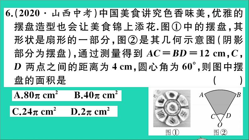 数学华东师大版九年级下册同步教学课件复习专项训练7圆作业07