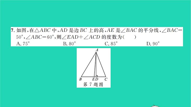 2022七年级数学下册周周卷五三角形的边角关系三线及全等图形习题课件新版北师大版第5页