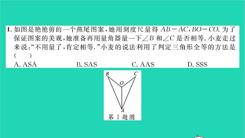 2022七年级数学下册专题卷三全等三角形中的性质与判定习题课件新版北师大版第2页