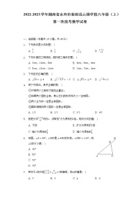 2022-2023学年湖南省永州市新田县云梯学校八年级（上）第一次段考数学试卷（含解析）