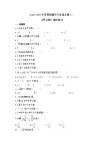 数学八年级上册第四章 实数4.1 平方根精品课后测评