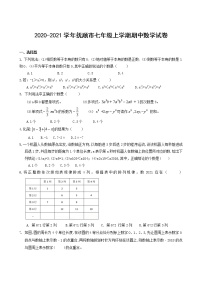 辽宁省抚顺市实验中学2020-2021学年七年级上学期期中数学试卷