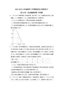 2022-2023九年级数学上学期期末复习培优练习-第22章二次函数解答题 中档题（辽宁中考）