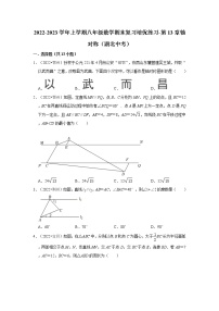 2022-2023学年上学期八年级数学期末复习培优练习-第13章轴对称（湖北中考）