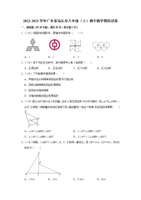 2022-2023学年广东省汕头市八年级（上）期中数学模拟试卷