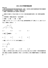 河南周口地区洪山乡联合中学2022年中考数学模拟精编试卷含解析