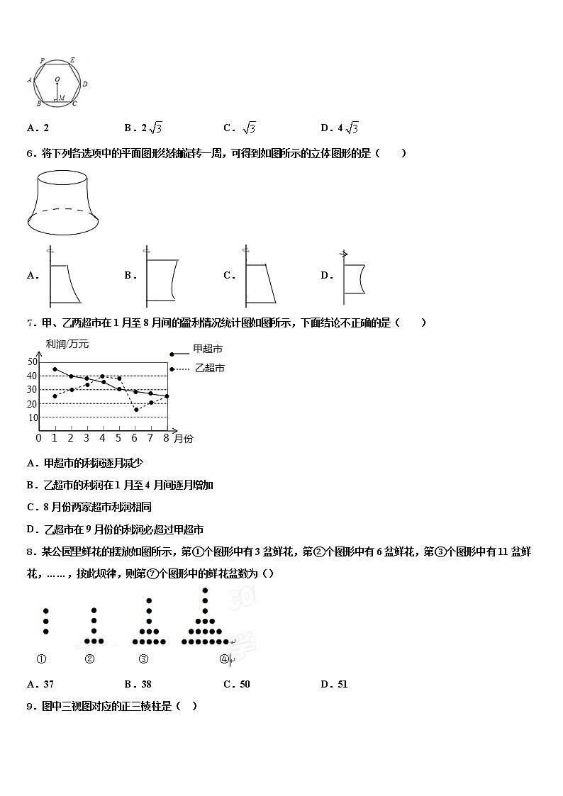 黑龙江省鹤岗市绥滨县重点中学2022年中考数学模拟试题含解析第2页