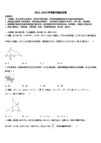 湖南省岳阳市城区达标名校2022年中考数学模拟试题含解析