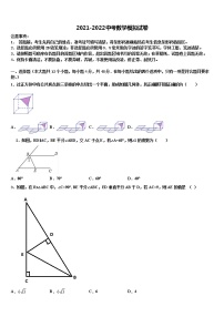 湖南省张家界市名校2022年中考数学考试模拟冲刺卷含解析