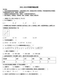 湖南省长沙青雅丽发中学2021-2022学年中考数学仿真试卷含解析