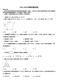 湖南省长沙市浏阳市重点中学2021-2022学年中考数学模拟预测试卷含解析