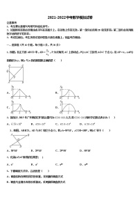 湖南省长沙市湘一芙蓉、一中学双语校2021-2022学年中考五模数学试题含解析