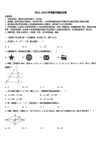 湖南省长沙市长雅实、西雅、雅洋市级名校2021-2022学年中考数学模拟精编试卷含解析