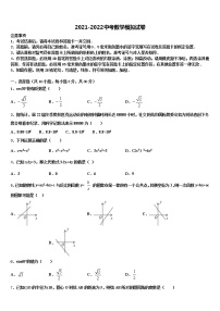 湖南省长沙市周南石燕湖中学2021-2022学年中考数学模拟预测试卷含解析