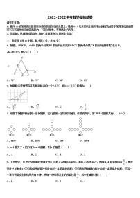 湖南省邵阳市邵东县2022年中考数学五模试卷含解析