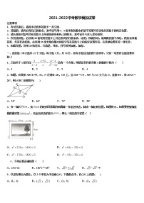 湖北省黄冈市浠水县市级名校2021-2022学年中考数学仿真试卷含解析