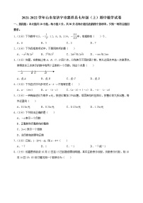 山东省济宁市嘉祥县2021-2022学年七年级上学期期中数学试题(含答案)