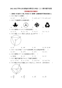 山东省临沂市费县2021-2022学年九年级上学期期中数学试卷(含答案)