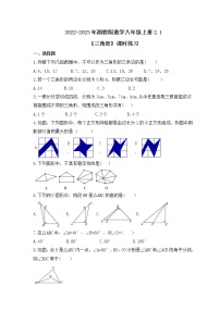 初中数学湘教版八年级上册2.1 三角形优秀测试题