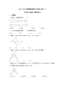 初中数学湘教版八年级上册第2章 三角形2.5 全等三角形优秀课后测评