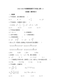 初中数学湘教版八年级上册3.3 实数精品复习练习题