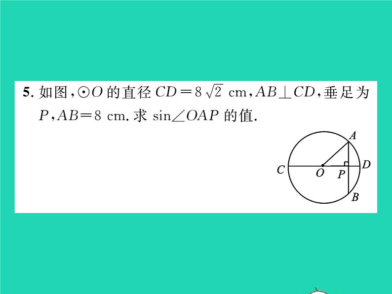 2022九年级数学下册第2章圆2.3垂径定理习题课件新版湘教版06