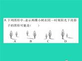 2022九年級數(shù)學(xué)下冊第3章投影與視圖3.1投影習(xí)題課件新版湘教版