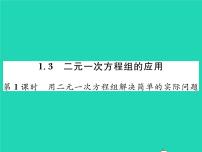 湘教版七年级下册1.3 二元一次方程组的应用习题课件ppt