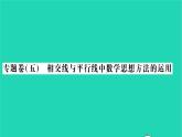 2022七年级数学下册专题卷五相交线与平行线中的数学思想方法的运用习题课件新版湘教版