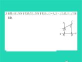 2022七年级数学下册专题卷五相交线与平行线中的数学思想方法的运用习题课件新版湘教版