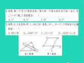 2022七年級(jí)數(shù)學(xué)下冊(cè)專題卷四與平行線有關(guān)的計(jì)算與證明習(xí)題課件新版湘教版