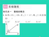 2022七年级数学下册第4章相交线与平行线4.5垂线第1课时垂线习题课件新版湘教版