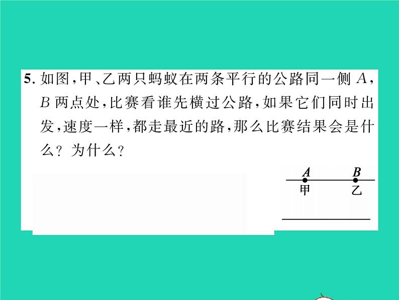 2022七年级数学下册第4章相交线与平行线4.6两条平行线间的距离习题课件新版湘教版06