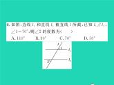 2022七年級(jí)數(shù)學(xué)下冊(cè)第4章相交線與平行線雙休作業(yè)34.1_4.4習(xí)題課件新版湘教版