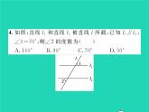 2022七年级数学下册第4章相交线与平行线双休作业34.1_4.4习题课件新版湘教版