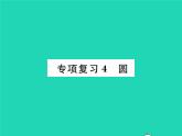 2022九年级数学下册专项复习4圆习题课件新版沪科版